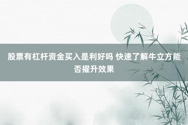 股票有杠杆资金买入是利好吗 快速了解牛立方能否擢升效果