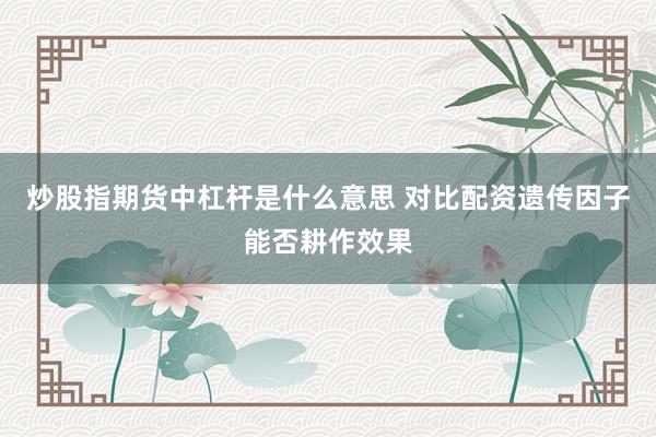 炒股指期货中杠杆是什么意思 对比配资遗传因子能否耕作效果