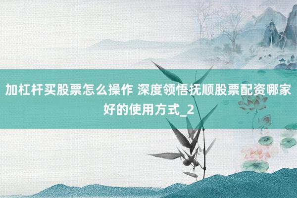 加杠杆买股票怎么操作 深度领悟抚顺股票配资哪家好的使用方式_2