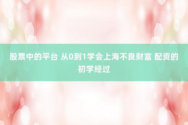 股票中的平台 从0到1学会上海不良财富 配资的初学经过