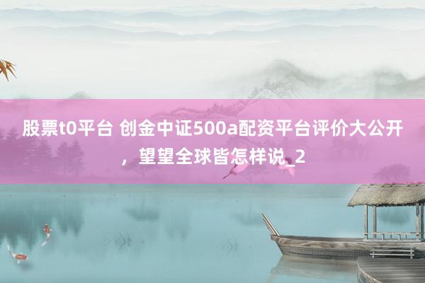 股票t0平台 创金中证500a配资平台评价大公开，望望全球皆怎样说_2