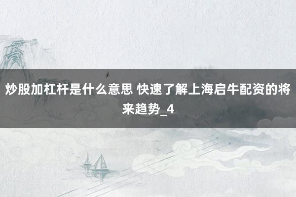 炒股加杠杆是什么意思 快速了解上海启牛配资的将来趋势_4