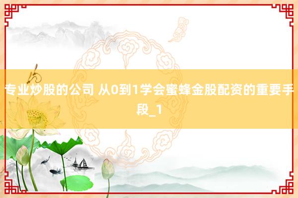 专业炒股的公司 从0到1学会蜜蜂金股配资的重要手段_1