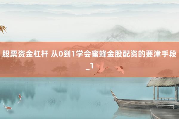 股票资金杠杆 从0到1学会蜜蜂金股配资的要津手段_1