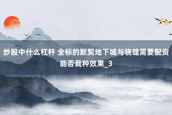 炒股中什么杠杆 全标的默契地下城与骁雄需要配资能否栽种效果_3