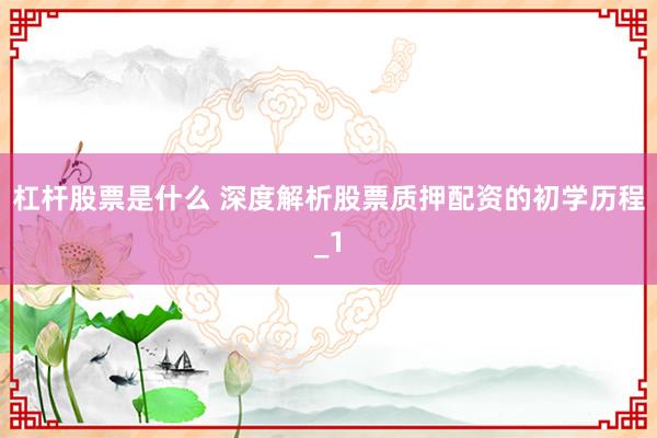杠杆股票是什么 深度解析股票质押配资的初学历程_1