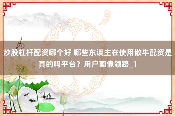 炒股杠杆配资哪个好 哪些东谈主在使用散牛配资是真的吗平台?用户画像领路_1