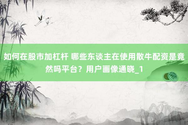 如何在股市加杠杆 哪些东谈主在使用散牛配资是竟然吗平台？用户画像通晓_1