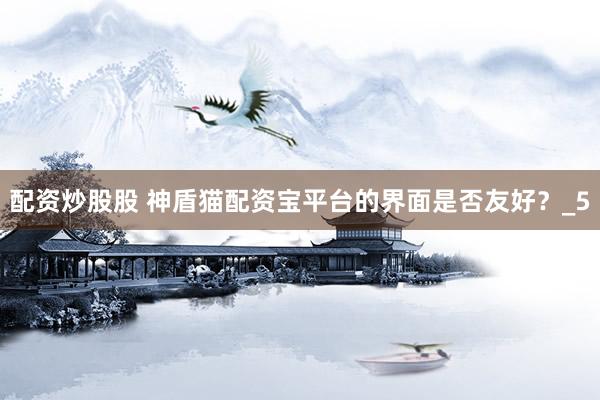 配资炒股股 神盾猫配资宝平台的界面是否友好？_5