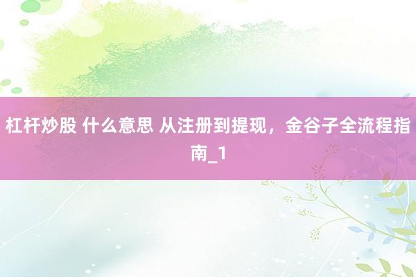 杠杆炒股 什么意思 从注册到提现，金谷子全流程指南_1