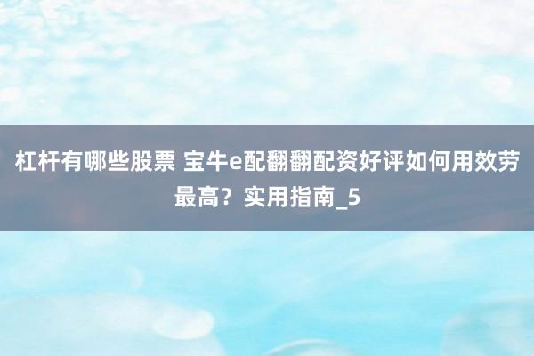 杠杆有哪些股票 宝牛e配翻翻配资好评如何用效劳最高？实用指南_5