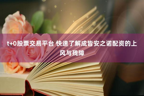 t+0股票交易平台 快速了解成皆安之诺配资的上风与残障
