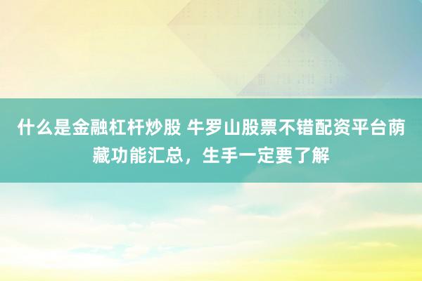 什么是金融杠杆炒股 牛罗山股票不错配资平台荫藏功能汇总，生手一定要了解