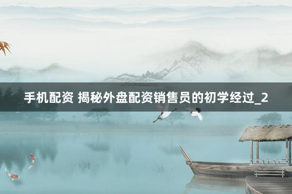 手机配资 揭秘外盘配资销售员的初学经过_2