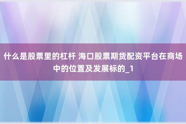 什么是股票里的杠杆 海口股票期货配资平台在商场中的位置及发展标的_1