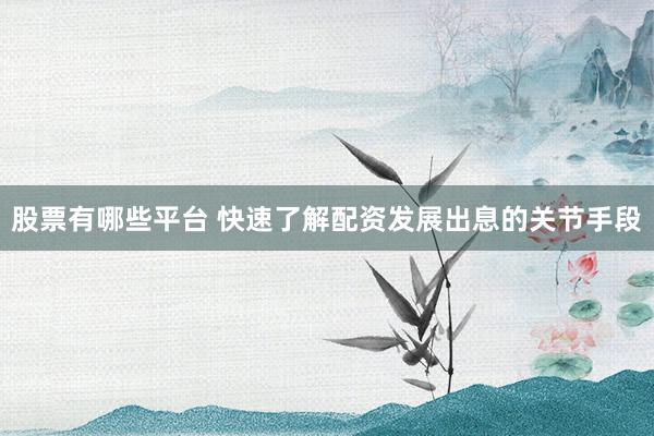 股票有哪些平台 快速了解配资发展出息的关节手段