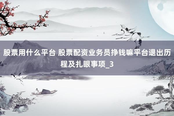 股票用什么平台 股票配资业务员挣钱嘛平台退出历程及扎眼事项_3