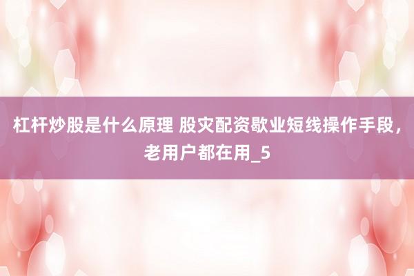 杠杆炒股是什么原理 股灾配资歇业短线操作手段，老用户都在用_5