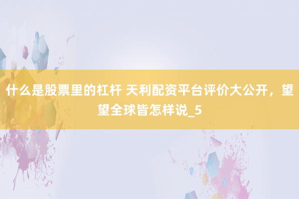 什么是股票里的杠杆 天利配资平台评价大公开，望望全球皆怎样说_5